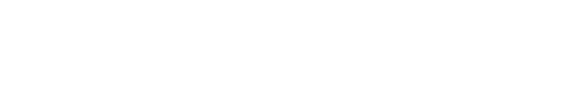 Logo White